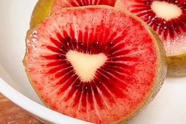 تصویر 3 از خرید و قیمت کیوی هایوارد قرمز + فروش صادراتی